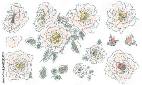 Wallpaper Mural ラフな薔薇の花のスケッチ素材セット Torontodigital.ca