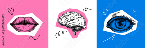 Trendy collage set with sketch brain, eye, lips. Human mind, senses, psychology, mental health, creativity concept. Poster, social media, podcast cover. Bold pop art vector illustration.