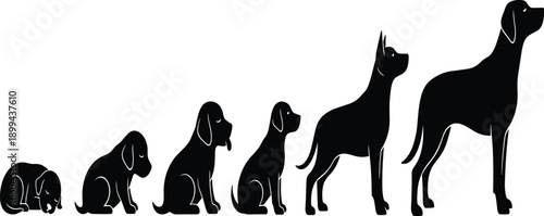 The image depicts a black and white illustration of a dog's life cycle.