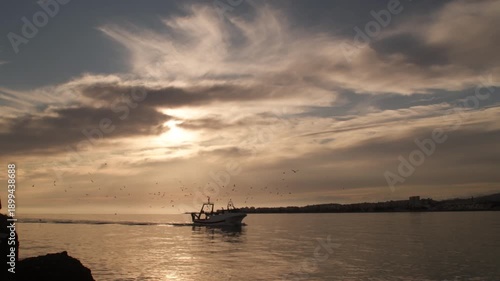 Fisher ship with birds flying around entering to port at sunset