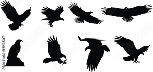 The image displays eight distinct black silhouettes of eagles against a plain white background.