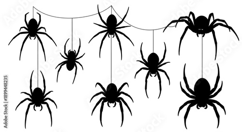 Vector silhouette illustration of a spider in various poses, crawling and hanging from a silk thread.