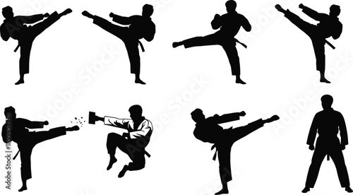 Martial arts silhouettes in various kicking and punching stances on white background