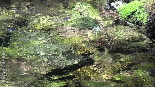 River Water Closeup in Mountains, Clear Spring Fresh Waterfall, Transparent Alpine Stream Waves, Crystalline Brook, Crystal Drops