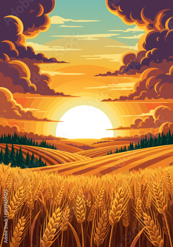 Golden Wheat Field at Sunset A Beautiful Vector Illustration of a Rural Landscape with Dramatic Clouds and Warm Sunlight