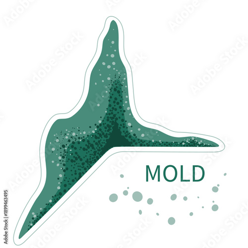 Green mold in damp room corner. Black fungus spores growth in humid environment vector illustration.