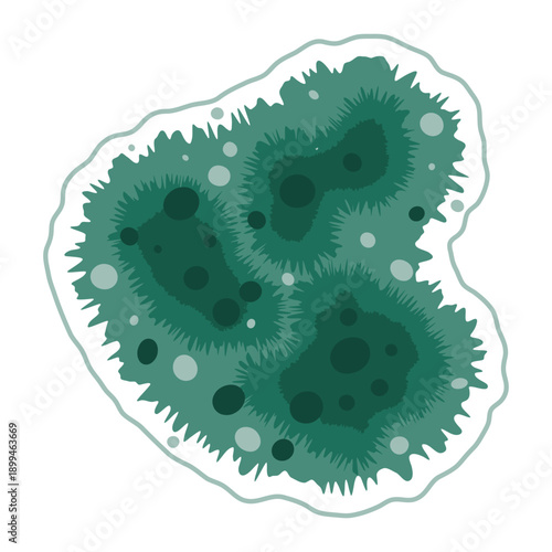 Green mold fungus spot growing on wet house wall. Mildew fungal spores under the microscope. Vector illustration