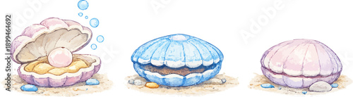 바닷속 조개 색연필 일러스트