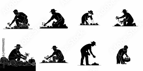 Set of eight black vector silhouettes showing farmers and agricultural workers harvesting various fresh garden vegetables, fruits, and pumpkins.