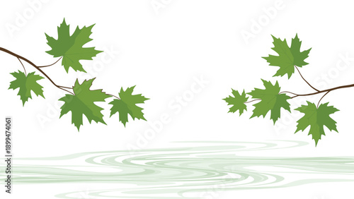 Fresh green maple leaves on thin branches hanging over a rippled water surface in a serene and tranquil natural setting.