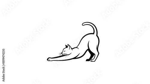 a sleek black cat stretching gracefully a minimalist and elegant silhouette
