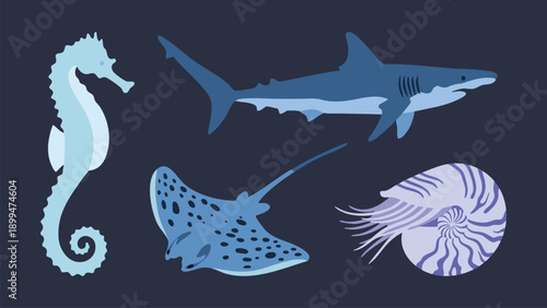 Marine Life Silhouettes Collection