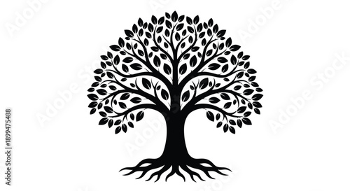 Black tree silhouette with roots and leaves, vector icon for logo or symbol isolated on White Background