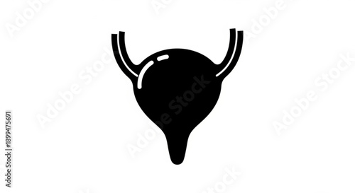 Black silhouette of a uterus illustration on a plain background from a frontal viewpoint