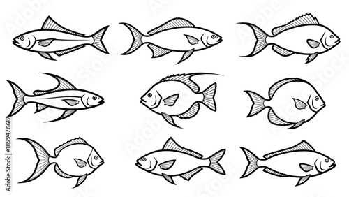 Collection of nine different fish species illustrated in a simple black and white line art drawing style for marine life and biology.