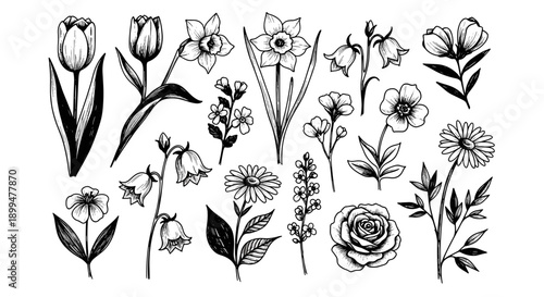 Black and White Hand-Drawn Botanical Flower Set Illustration