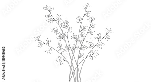 Elegant linear botanical design with delicate leaves on branches