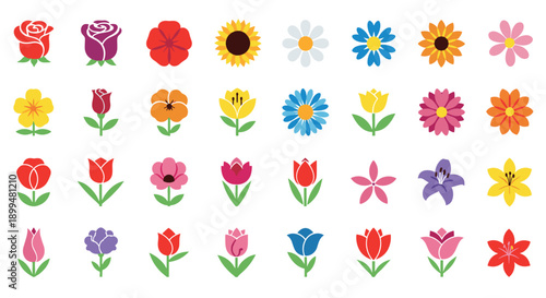 Colorful floral collection with diverse flower designs in modern style