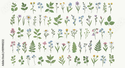 Collection of delicate hand drawn wildflowers and leaves with pastel colors
