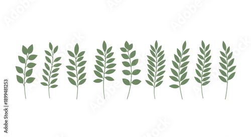Minimalistic green leaf plants aligned in a row