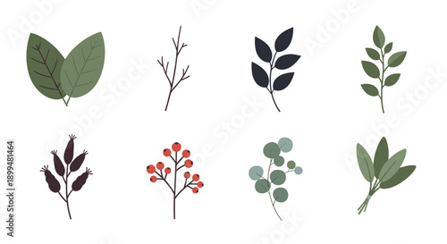 Collection of diverse botanical elements with leaves and branches