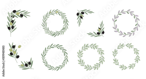 Olive branch designs: circular and linear arrangements for creative projects