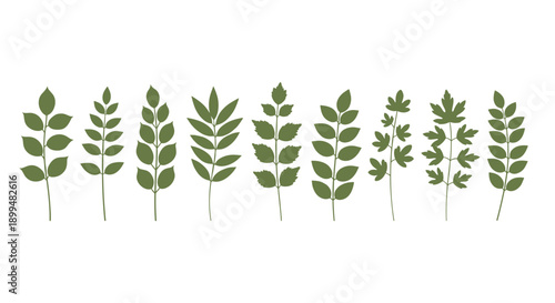 Natural green leaf silhouettes set for botanical design projects