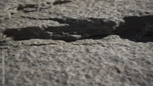 Cracked Earth Surface with Deep Fissures.