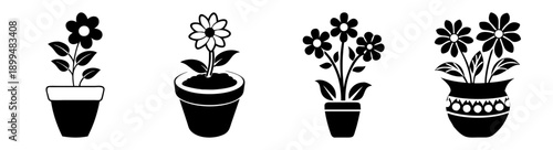 Four black and white potted flowers growing in stylized minimalist pots isolated on plain background