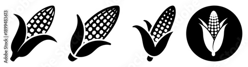 Fresh green corn cobs set with husks and kernels vector illustration isolated on black background