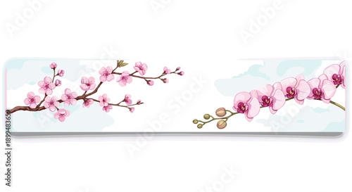 Elegant cherry and orchid branches on white background with soft blue accents