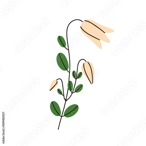 Floral branch. Gentle wildflower bloom. Abstract wild bell flower, campanula stem. Natural botanical decoration. Spring and summer blossom. Flat vector illustration isolated on white background