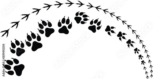 Animal and bird footprint trail illustration with paw prints and tracks, wildlife tracking concept, black and white vector design