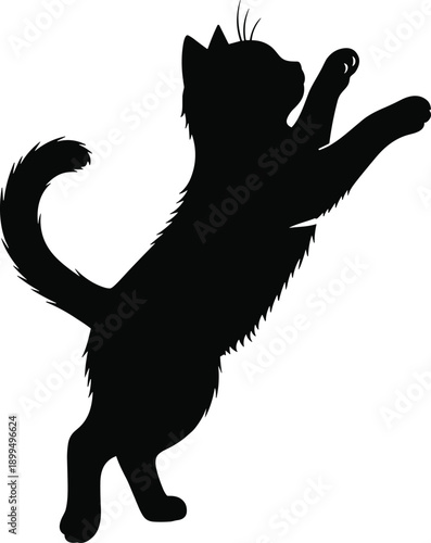 Fotografie Black cat silhouette standing on hind legs reaching upward isolated on white bac