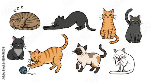 Cute Cartoon Cats Displaying Various Actions and Different Breeds
