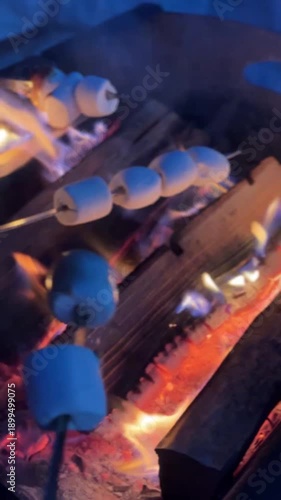 Roasting marshmallow over a fire. Campfire with marshmallows