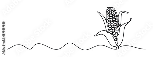 Continuous one line drawing of a fresh corn cob with husks, representing natural growth and harvest, excellent for food industry branding or educational media content.