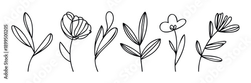 Minimalist botanical line drawings showcasing delicate floral and plant elements perfect for modern natural decor, branding, invitation, or greeting card concepts
