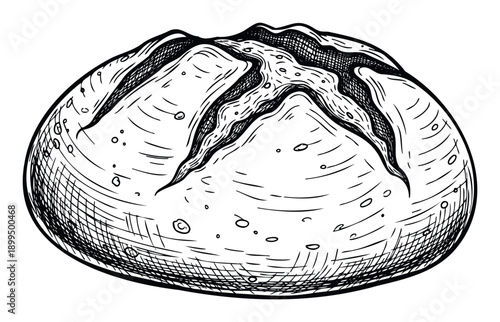 A rustic handdrawn sketch of a round loaf of sourdough bread with characteristic scoring, perfect for bakery branding, menu designs, food packaging, and culinary publication layouts