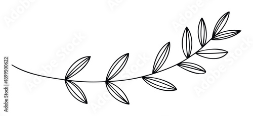 Simple stylized black line drawing of a botanical branch with almond shaped leaves ideal for various graphic resources, natural themes, or modern decorative accents in digital or print