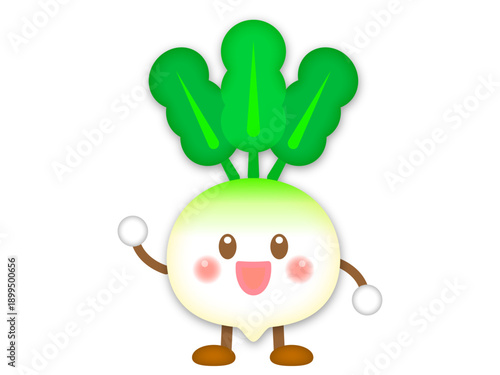 可愛いカブのイラスト素材