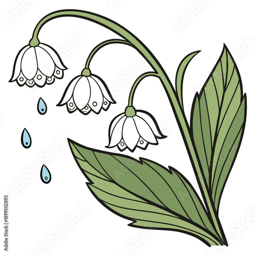 Delicate white flowers with raindrops on green stems and leaves in a serene setting