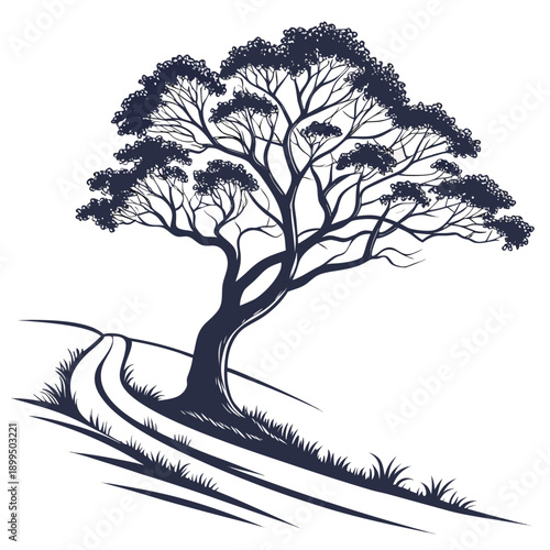 A serene solitary tree standing beside a winding path in a natural landscape