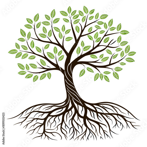 A vibrant illustration of a tree showcasing its strong roots and lush green foliage.