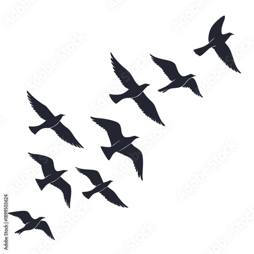Graceful flock of birds flying in a dynamic formation against a plain background