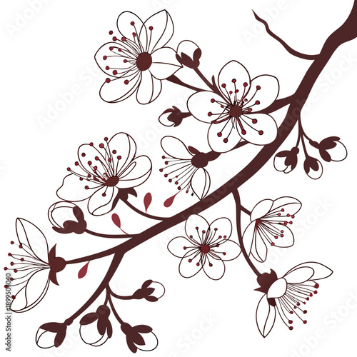 Delicate branch adorned with blooming flowers and small buds in an elegant monochrome design