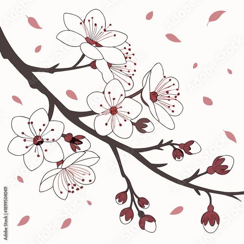 Graceful cherry blossom branch adorned with delicate pink flowers and falling petals