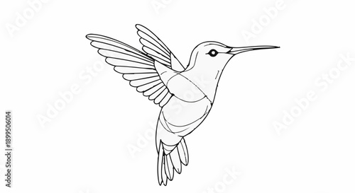 Graceful hummingbird in flight, a delicate line drawing capturing its swift movement and intricate wings.