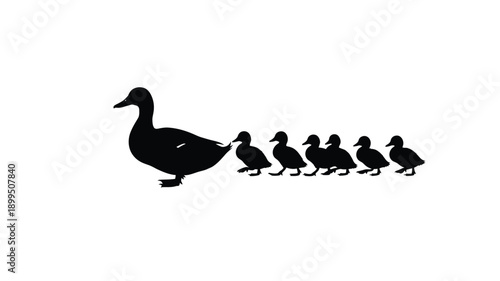 a mother duck leading her ducklings in a row silhouette