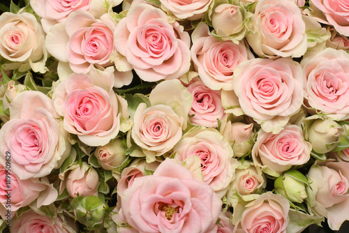 mixed flower bouquet of various types of flowers and colors